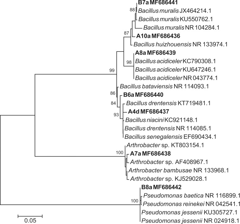 Fig 4