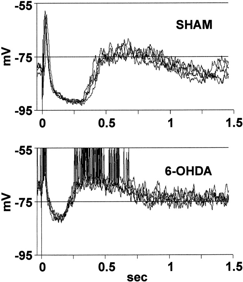 Fig. 5.