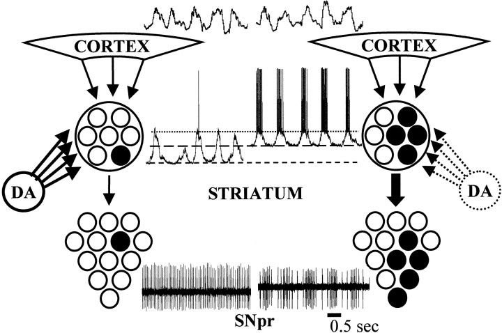 Fig. 8.