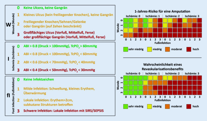 graphic file with name 104_2020_1301_Fig13_HTML.jpg