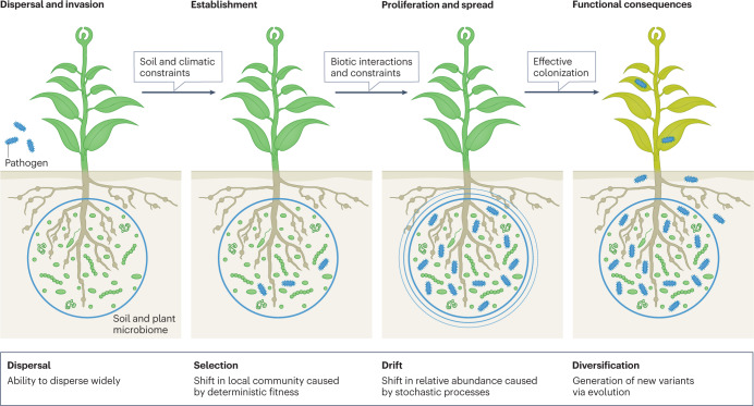 Box 1 Eco-evolutionary theories for prediction and management of plant diseases