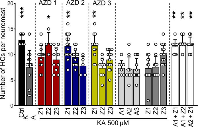 Fig. 10.