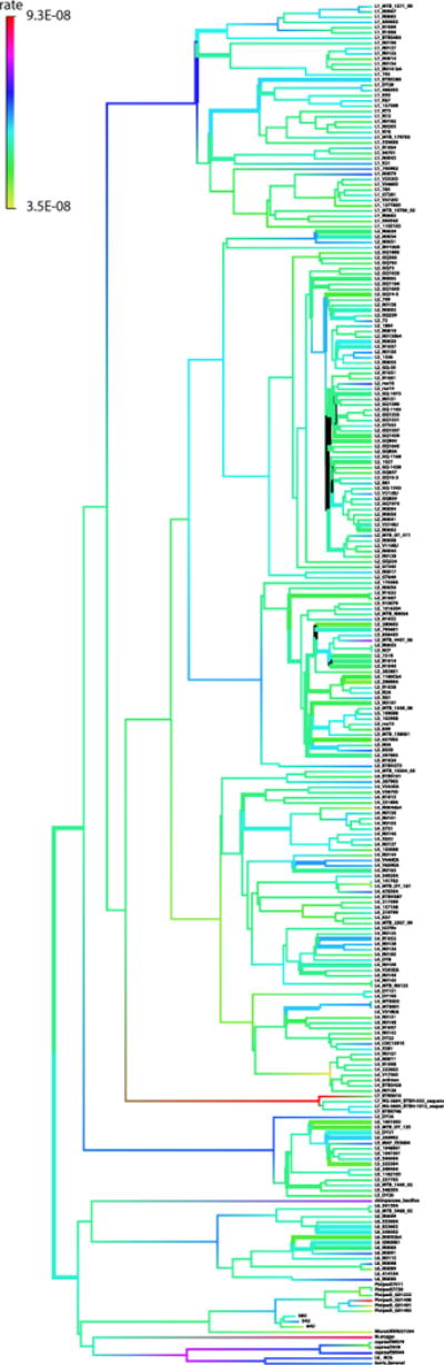 Extended Data Figure 7