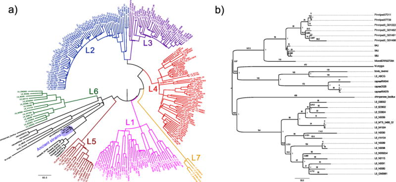 Extended Data Figure 4