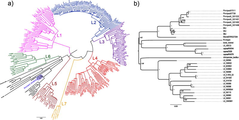 Extended Data Figure 5