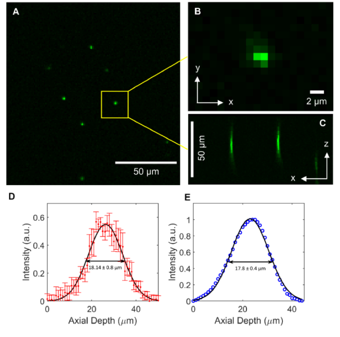 Fig. 2.