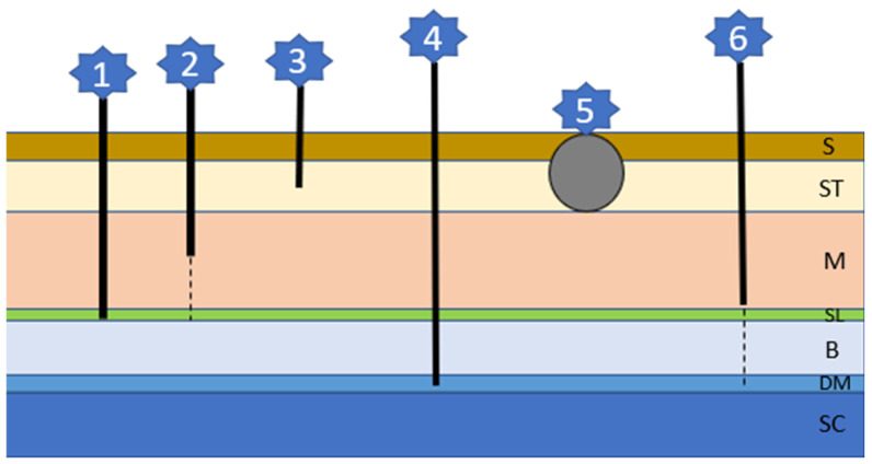 Figure 6