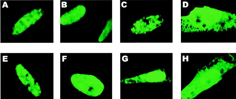 FIG. 9