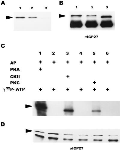 FIG. 5