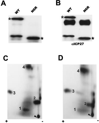 FIG. 7