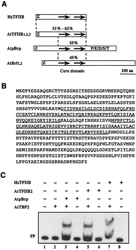 FIG. 1.