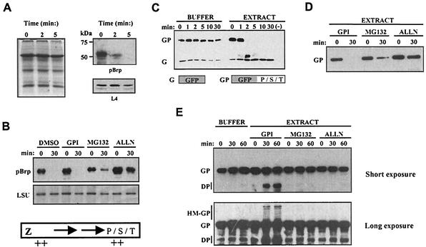 FIG. 6.