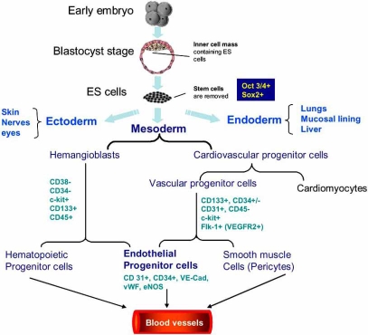 Fig. (1)