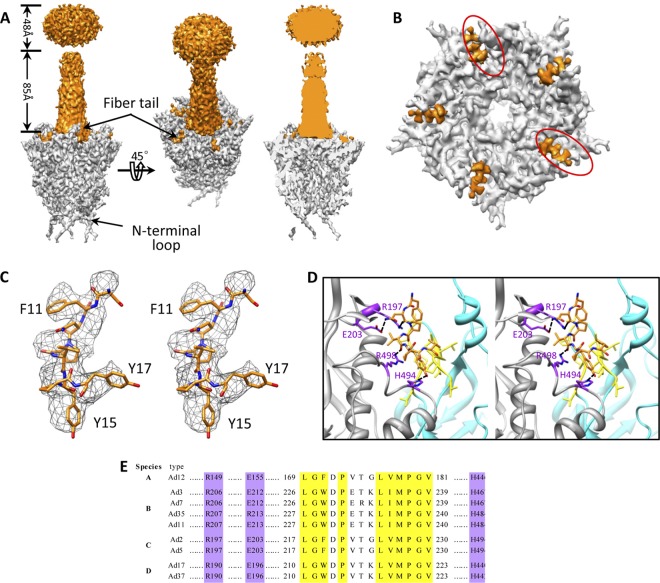 Fig 4