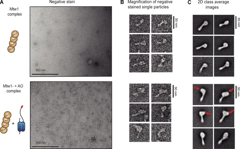 Figure 4.