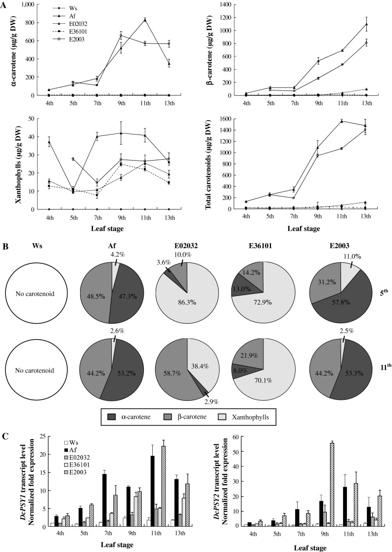 Fig. 3