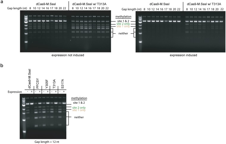 Fig 10