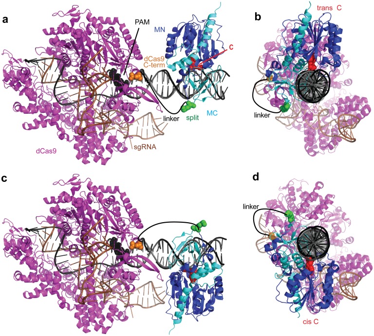 Fig 2