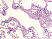 Figure 1.