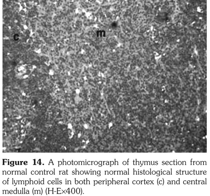 Figure 14