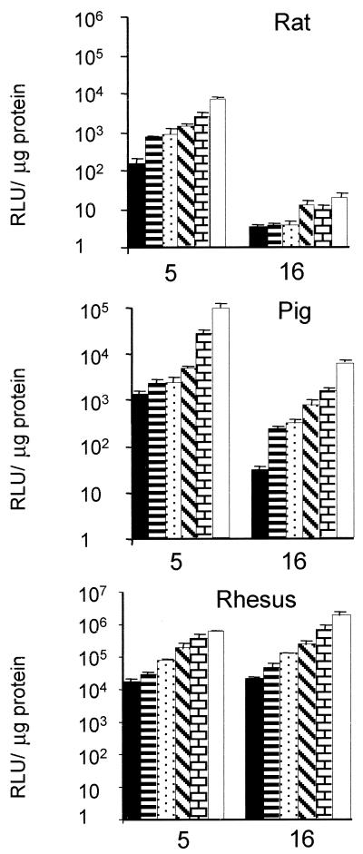 FIG. 6