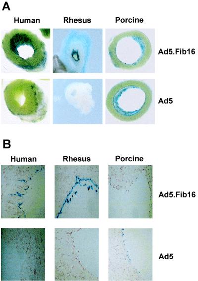 FIG. 9