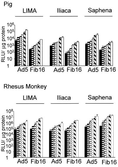 FIG. 7