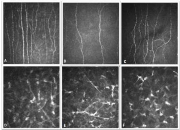 Figure 4: