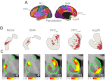 Fig. 15.