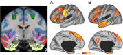 Fig. 10.