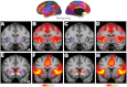 Fig. 13.