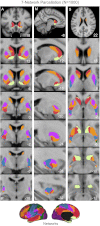 Fig. 7.