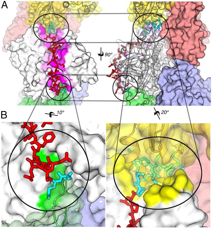 Fig. 4.