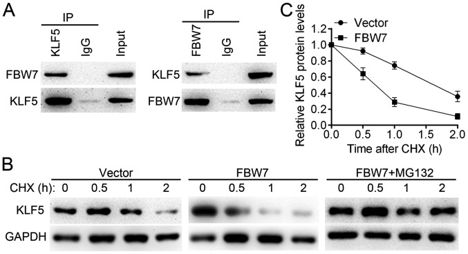 Figure 7.