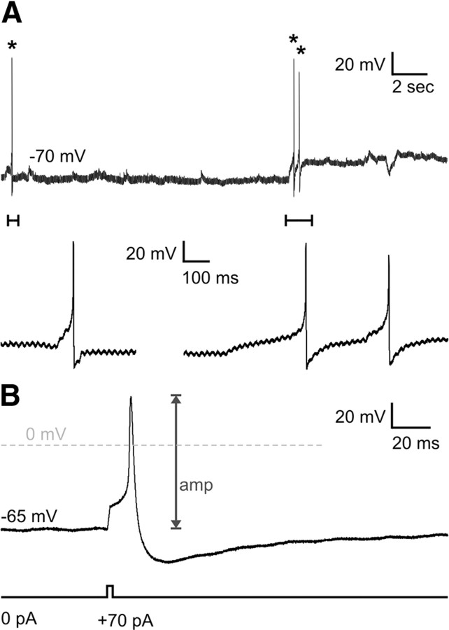 Figure 7.