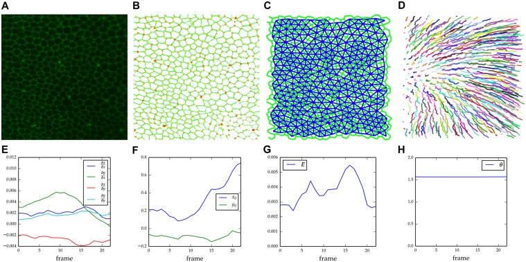 Fig 3