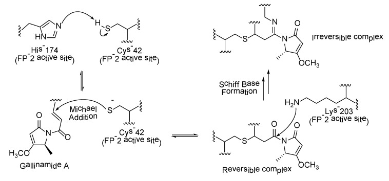 Scheme 2