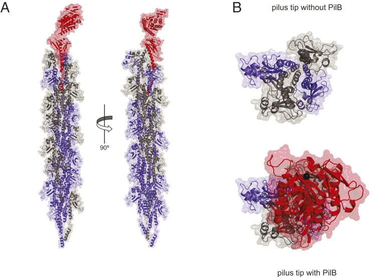 Fig. 3.