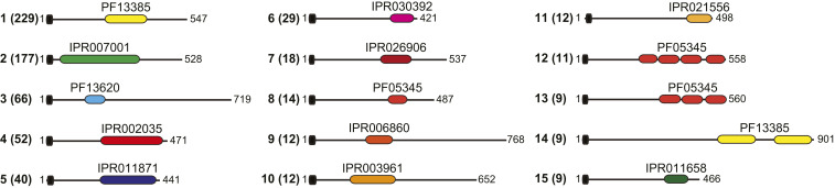 Fig. 8.