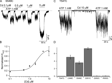 Figure 6.