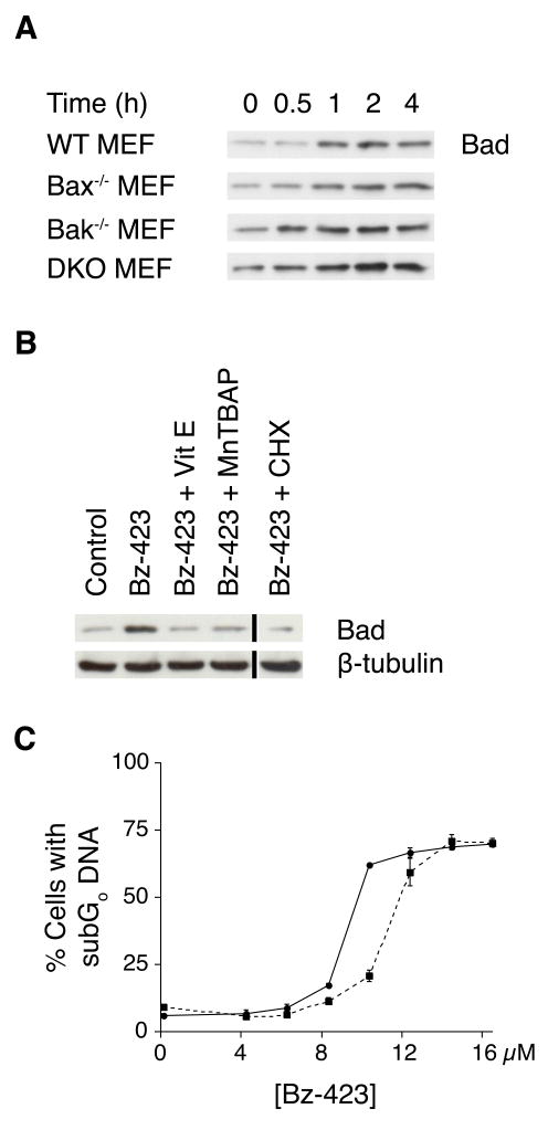 Fig. 5