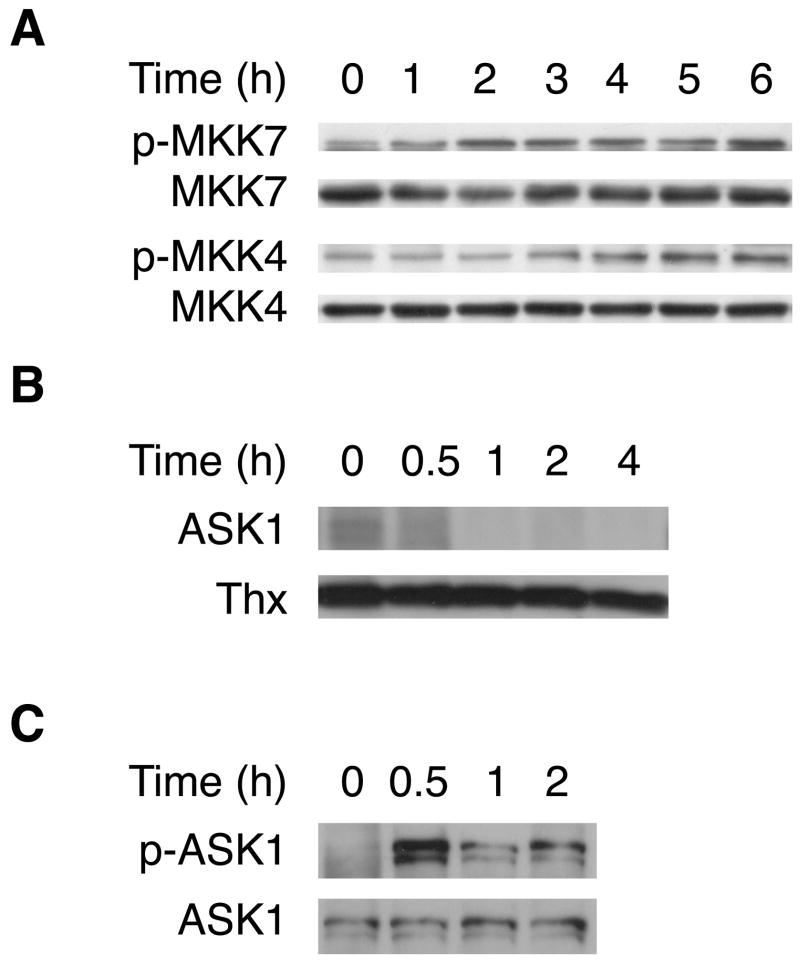 Fig. 8