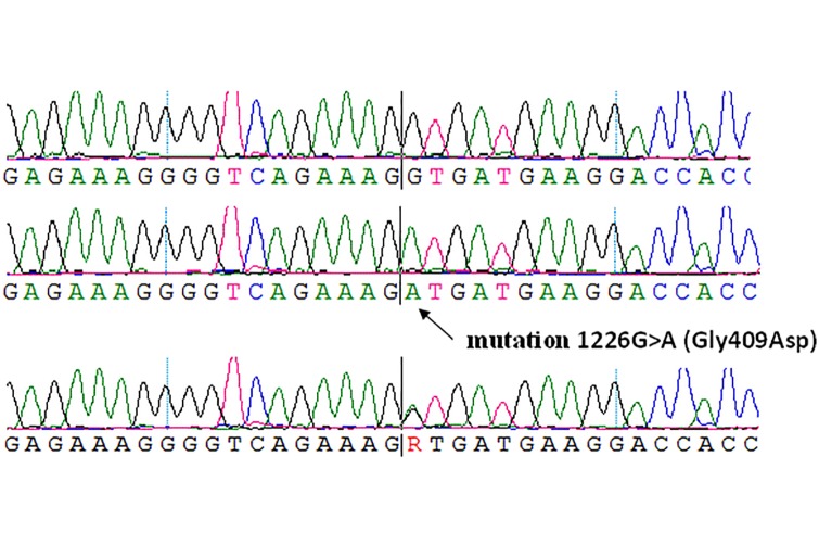 Fig 2