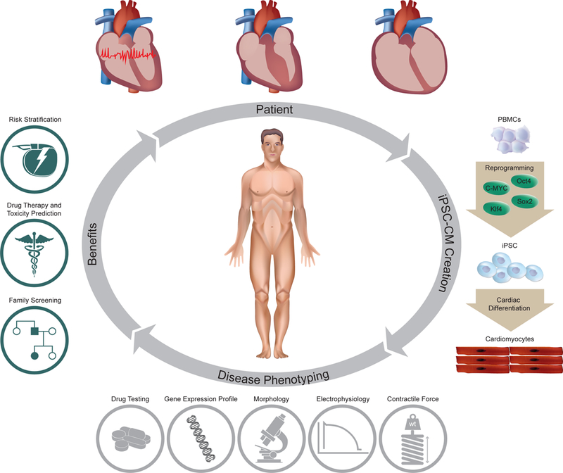 Figure 1: