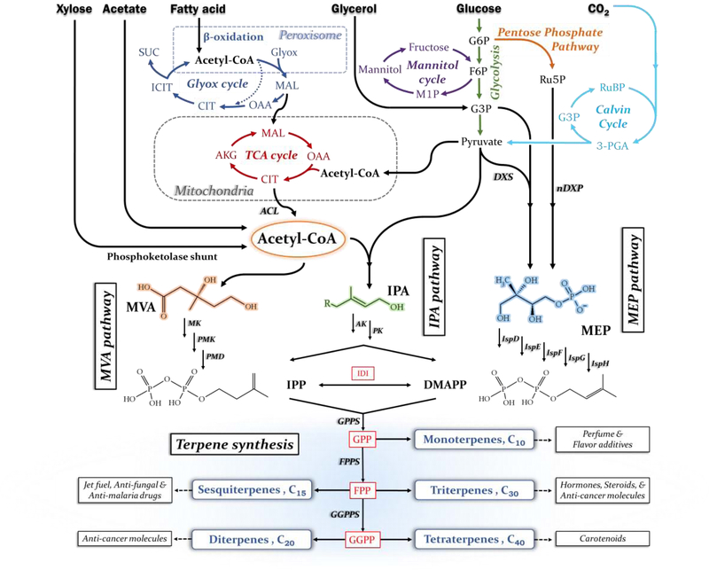 Figure 2: