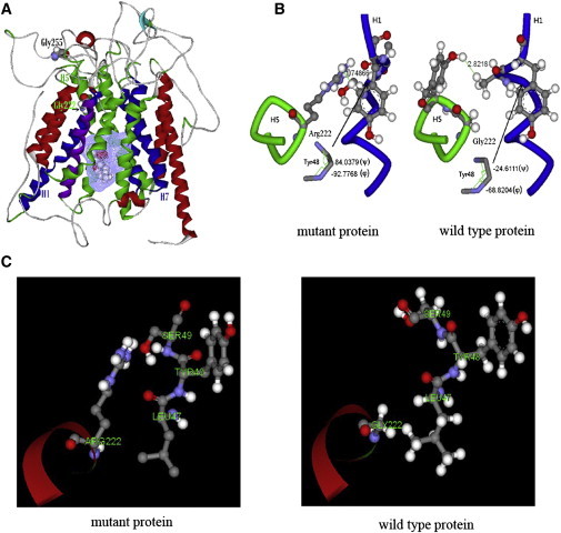 Figure 4