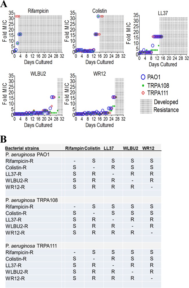 FIG 3