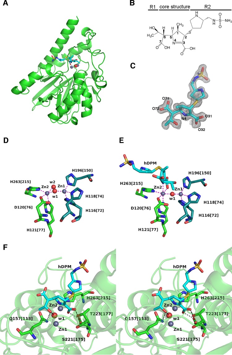 FIG 1