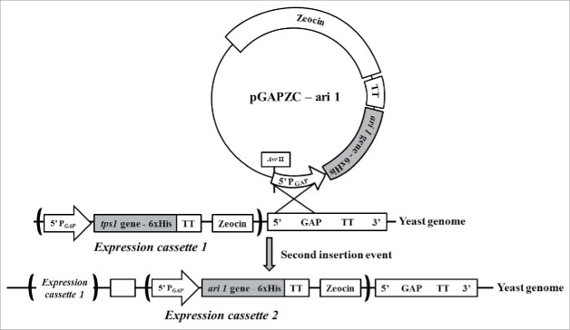 Figure 1.