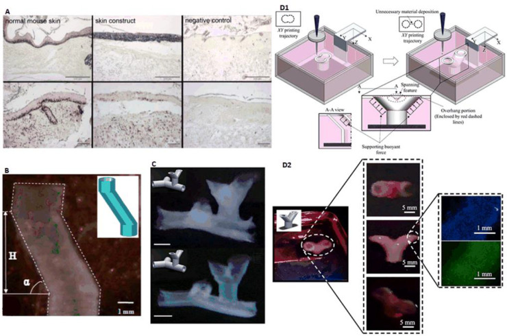 Fig. 13